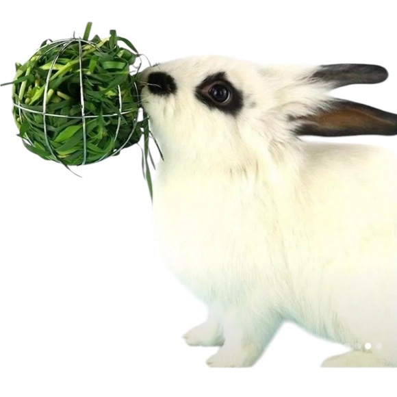 🦩5/$30🦩 🐇 Bunny Supplies 🐰 - Picture 2 of 5